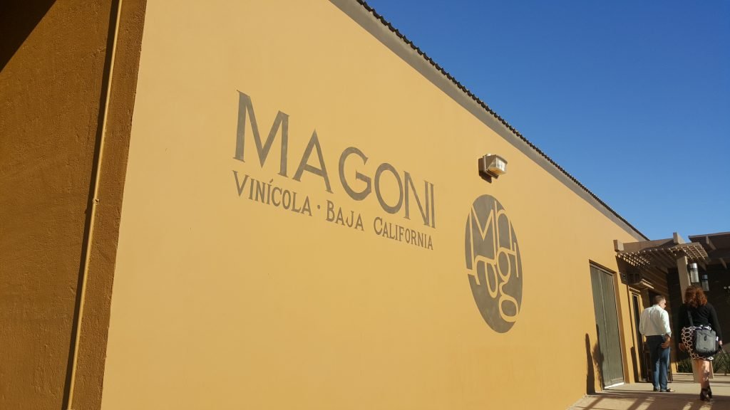 Valle de Guadalupe-Magoni vinicola/winery
