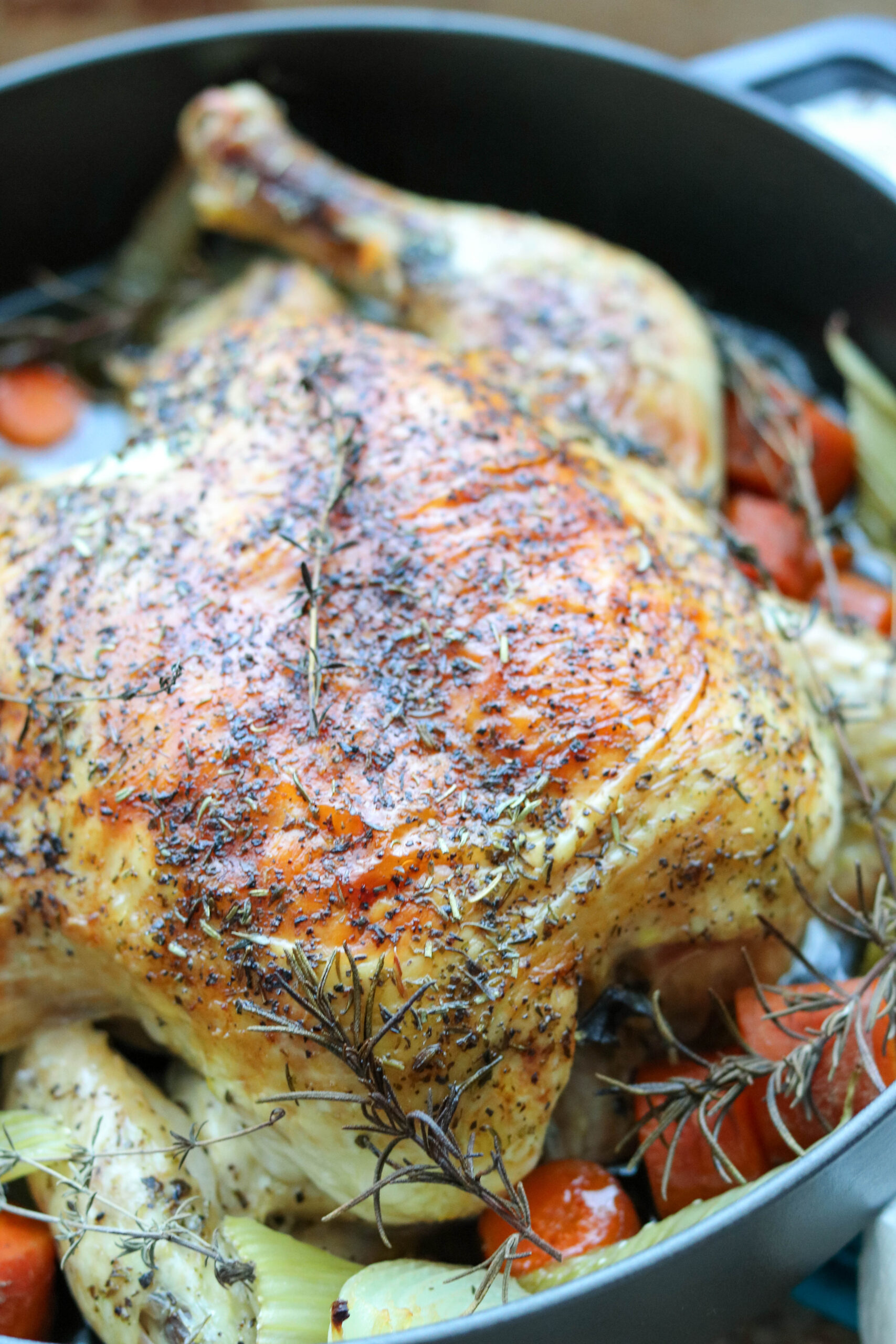 Roast chicken in pan with herbs