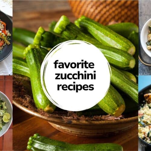 favorite zucchine recipe round up