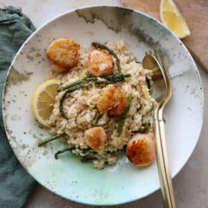 creamy risotto with pan seared scallops close up