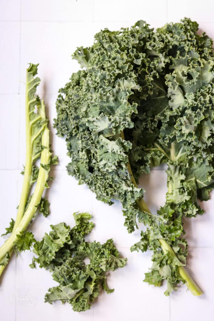 curly kale on white background