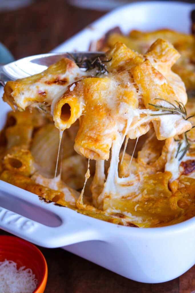 baked rigatoni with pumpkin cream sauce