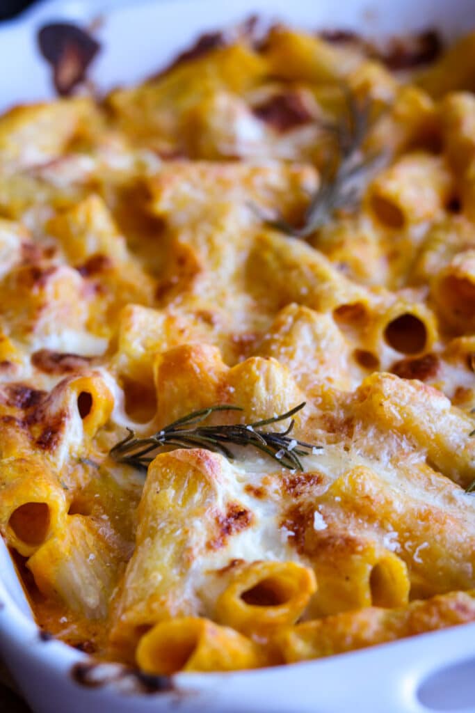 close up of baked rigatoni with pumpkin cream sauce
