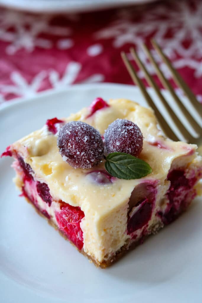 close up of cranberry orange bars 